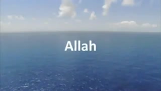 چشم هایت را باز کن ( زیرنویس فارسی )