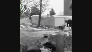 مرد زندگی"-"