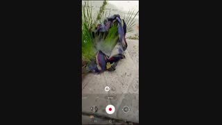 #علوم_تجربی   #علوم_پنجم   درس از ریشه تا برگ  ( قسمت اول )