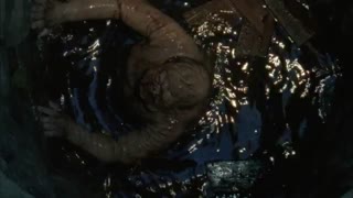 سریال The Walking Dead - فصل 2 قسمت 4 با دوبله فارسی