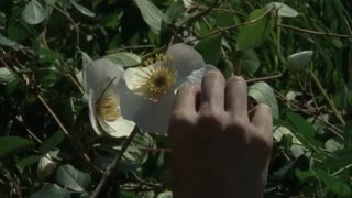 سریال The Walking Dead - فصل 2 قسمت 8 با دوبله فارسی