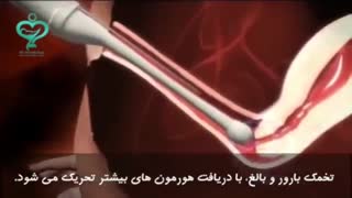 درمان IVF چگونه عمل می کند؟