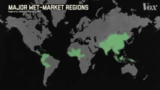 چرا  بیماریهای جدید  از چین نشأت می گیرند؟