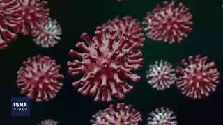 از نگرانی درباره یک بیماری نادر تا کنترل مالاریا با میکروب