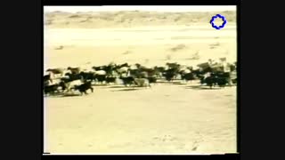 جاده ابریشم 24