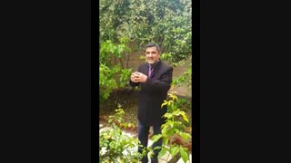 دکترعلی شاه حسینی _شکارچی _بازاریابی