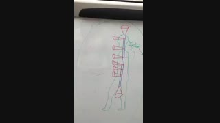 کانال یا نور _چنل کنندگان امن چه ویژگی هایی دارند؟