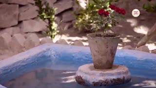 موزیک ویدیو《یوسف زیبای حجازی》باصدای《حسام الدین سراج》