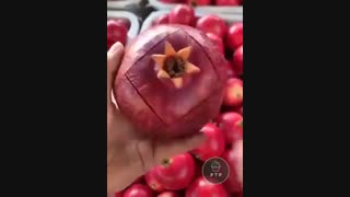 بهشت روی زمینِ