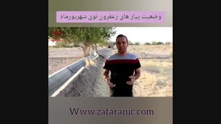 خرید زعفران به صورت اینترنتی زعفرانیک-zafaranic