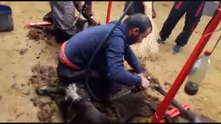 معرفی خدمات مرکز (آموزش پشم چینی)