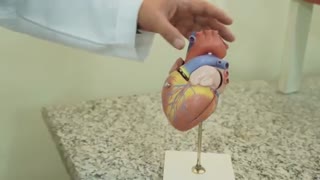 آموزش علوم هفتم.درس  11