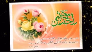 امام حسن (ع)