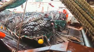 اطلاعات کلی مراکش ، موسسه مهاجرت تحصیلی | GO2TR