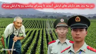 داستان کوتاه و آموزنده کشاورز پیر فرزانه