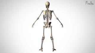 نشانگرهای بدن