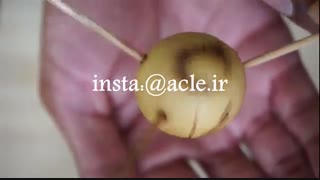 به راحتی آب خوردن آووکادو بکارید