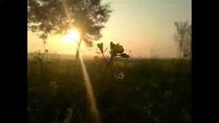 نیم درصدیسم -_- 2