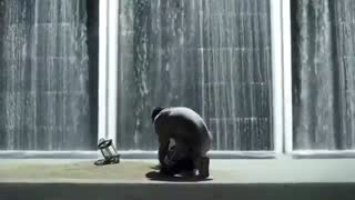 موزیک ویدئو عشق دروغین از bts-fake-love با زیرنویس فارسی