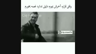 کلیپ زیبا از چوکور