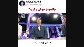 چانسو یا موش و گربه