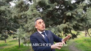 صد روز هفت صبح روز پنجم ( خلاف جهت رودخانه )