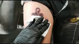 مدرک بین المللی تاتو | 