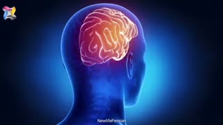 علائم کمبود پروتئین