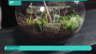 آموزش ساخت باغ شیشه ای خزه 28423118-021