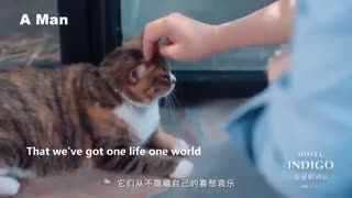 موزیک ویدئو Xiao zhan