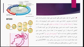 جلسه ششم. کروموزوم پلی تن
