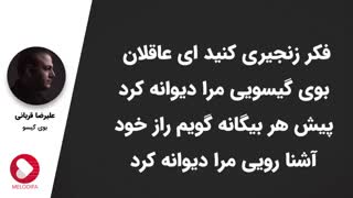 بهترین های علیرضا قربانی/4