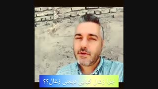 چرا زغال کبابی دیجی زغال؟