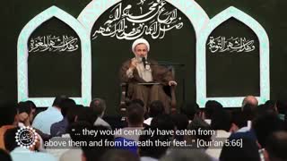 Go along with the laws of the world | Ali Reza Panahian