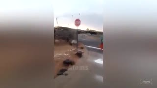 جالب ترین و خنده داری ترین صحنه ها در هنگام کار