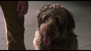 تریلر فیلم Think Like A Dog