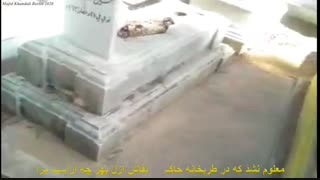 کلیپ جدید از رباعیات خیام تهیه شده در  برلین ۱۳۹۹