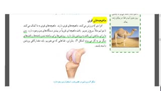 فیلم آموزشی فصل 12 علوم هفتم سفره سلامت