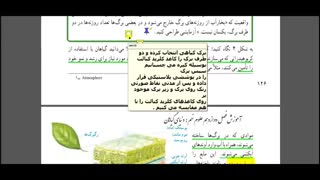 فیلم آموزشی فصل 12 علوم نهم  :  دنیای گیاهان