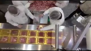 دستگاه اسکین پلاس شرکت طرسام در شرکت 202