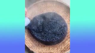 Oddly Satisfying Video