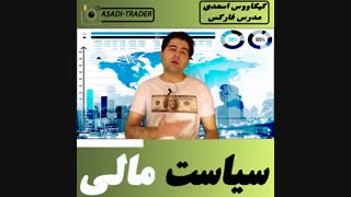سیاست های مالی