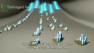 گوش انسان چگونه می شنود؟