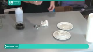 نحوه پرورش قارچ صدفی با تفاله قهوه