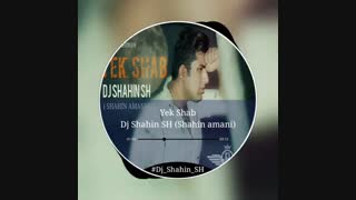 دکلمه جدید و زبیای دیجی شاهین اس اچ (شاهین امانی) یک شب