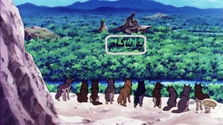 کتاب جنگل - 13