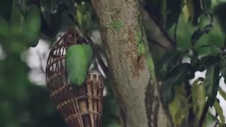 قسمت سوم سریال چینی عشق در اولین نفرت Love at first hae