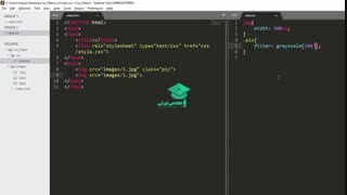 استفاده از فیلتر Gray scale در CSS3