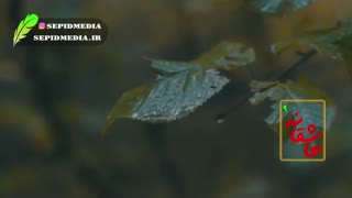 عاشقانه ؛ نهم