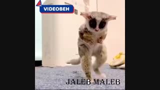طنز| ژل ضد عفونی